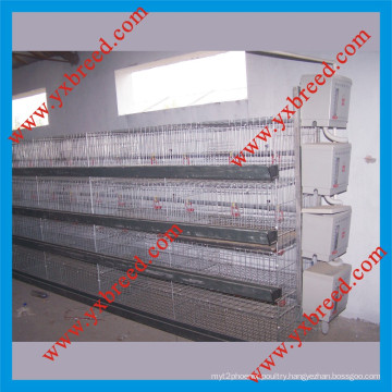 Broiler Cages